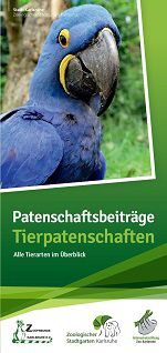 Vorschaubild PDF