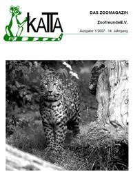 Vorschaubild PDF